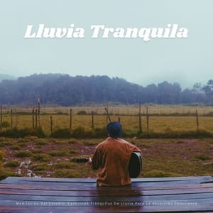 Meditación Del Estudio: Canciones Tranquilas De Lluvia Para La Absorción Consciente - Meditaciones de lluvia