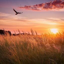 Lofi Meditación Fluida: Ritmos Para Calmar Los Pensamientos - Maestro de lo-fi cósmico