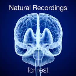 Natural Recordings for Rest - Ambient Nature Sounds