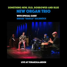 Something New, Old, Borrowed and Blue - NEW Organ Trio