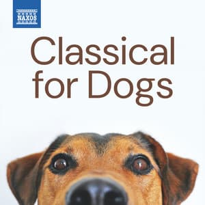 Classical for Dogs - Johann Sebastian Bach