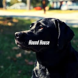Hound House - Dog Jazz Music