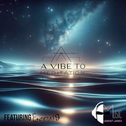 A Vibe To Meditation - Meditation King