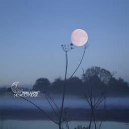 Calmly Lunar Rest - Trouble Sleeping Music Universe