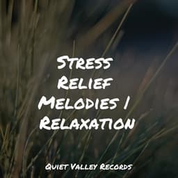 Stress Relief Melodies | Relaxation - Sons da natureza HD