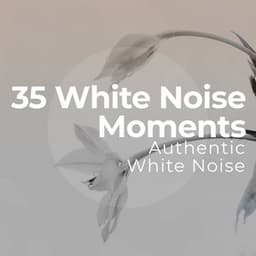 35 White Noise Moments - Authentic White Noise