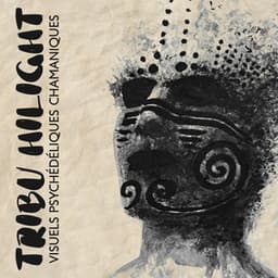 Tribu Hilight: Visuels psychédéliques chamaniques, Transe chamanique, Cosmologie chamanique, Un examen psychologique du monde des chamans - Nature Académie