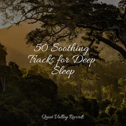 50 Soothing Tracks for Deep Sleep - Sounds Of Nature: Thunderstorm