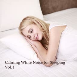 Calming White Noise for Sleeping Vol. 1 - White Noise Sleep Sounds