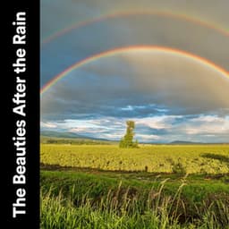 The Beauties After the Rain - Loopable Rain Sounds