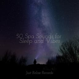 50 Spa Sounds for Sleep and Vibes - Japanese Relaxation and Meditation