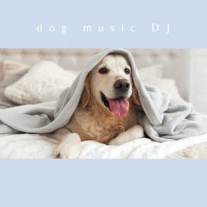 Bedtime Music For Dogs - Dog Music DJ