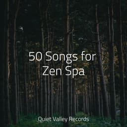 50 Songs for Zen Spa - Hipnose Natureza Sons Coleção