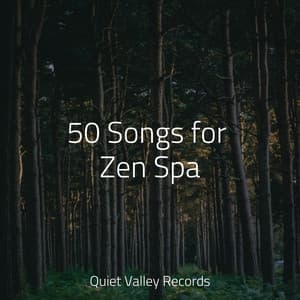 50 Songs for Zen Spa - Hipnose Natureza Sons Coleção