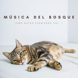 Música Del Bosque Para Gatos Durmiendo Vol. 1 - Sonidos de la Naturaleza Relax