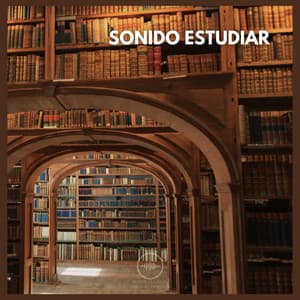 Sonido Estudiar - Ruido Marrón Para Concentración