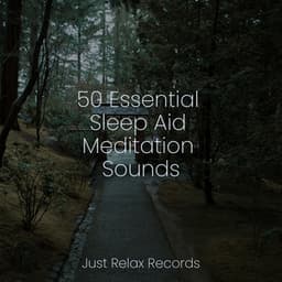 50 Essential Sleep Aid Meditation Sounds - Meditación