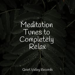 Meditation Tunes to Completely Relax - Deep Sleep Brown Noise