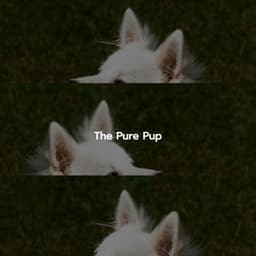 The Pure Pup - Cafe Jazz Classics
