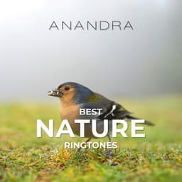 Best Nature Ringtones: Singing Birds, Ocean Waves, Rainforest, Thunderstorm - Anandra