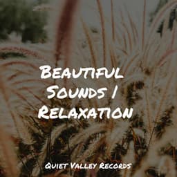 Beautiful Sounds | Relaxation - Nature Soundscape