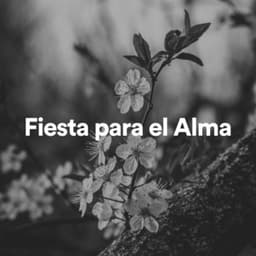 Fiesta para el Alma - Ruido Del Sueño