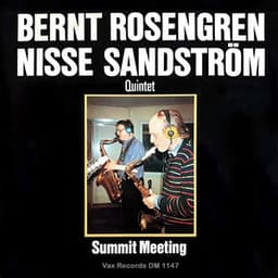 Summit Meeting - Bernt Rosengren