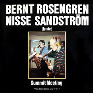 Summit Meeting - Bernt Rosengren