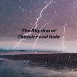 The Rhythm of Thunder and Rain - Rain relax