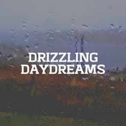 Drizzling Daydreams - Rain Sounds HD