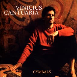Cymbals - Vinicius Cantuaria