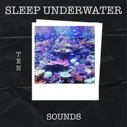 10 Sleep Underwater Sounds - White Noise Sleep Sounds