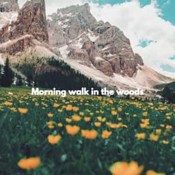 Morning walk in the woods - Música para Cafeterías