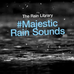 #Majestic Rain Sounds - The Rain Library