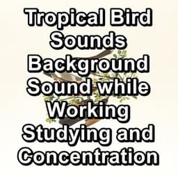 Tropical Bird Sounds Background Sound while Working Studying and Concentration - Yoga Master