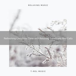Refreshing Christmas Time with Relaxing Tunes and Bird Calls - Sound Sleeping