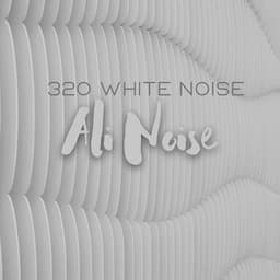 320 White Noise - Ali Noise
