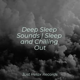 Deep Sleep Sounds | Sleep and Chilling Out - Drowsy Cloud