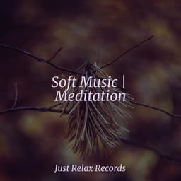 Soft Music | Meditation - Bird Sounds