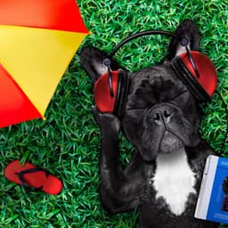 Dog's Dreamland: Ambient Music - Relaxing Music for Dogs