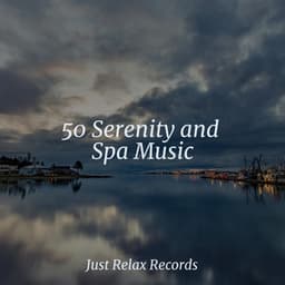 50 Serenity and Spa Music - Sleep Music Lullabies