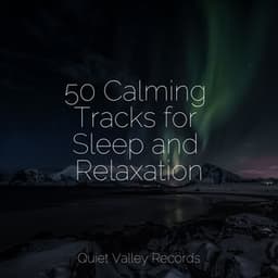50 Calming Tracks for Sleep and Relaxation - Academia de Música con Sonidos de la Naturaleza