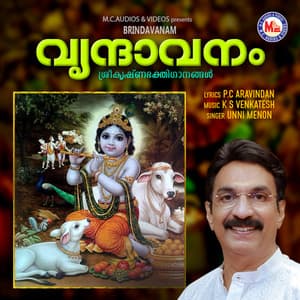 Brindavanam - Unni Menon