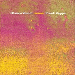 Suona Frank Zappa - Glauco Venier