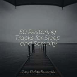 50 Restoring Tracks for Sleep and Serenity - Best Relaxing SPA Music