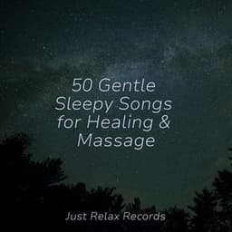 50 Gentle Sleepy Songs for Healing & Massage - Lullabyes