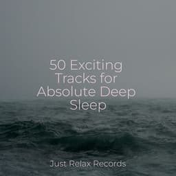 50 Exciting Tracks for Absolute Deep Sleep - Música Zen Relaxante