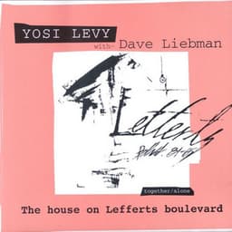 The House on Lefferts Boulevard - Yosi Levy