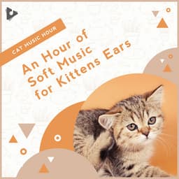 An Hour of Soft Music for Kittens Ears - Cat Music Hour