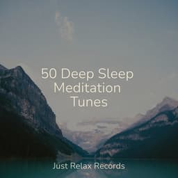 50 Deep Sleep Meditation Tunes - Bedtime Baby